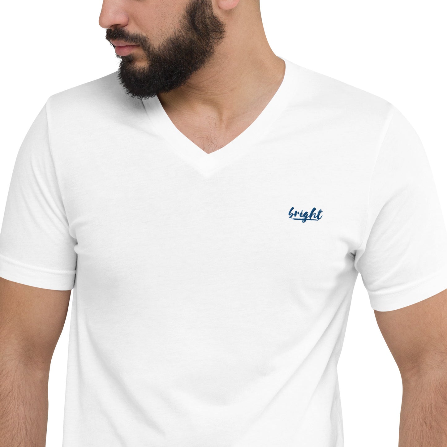 Bright Lower Logo V Neck in Blue